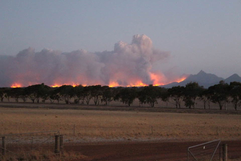 Bush fire