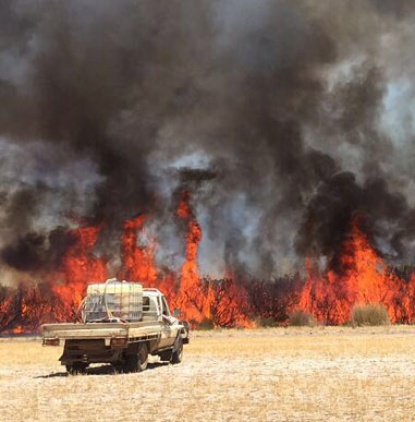 Bush fire